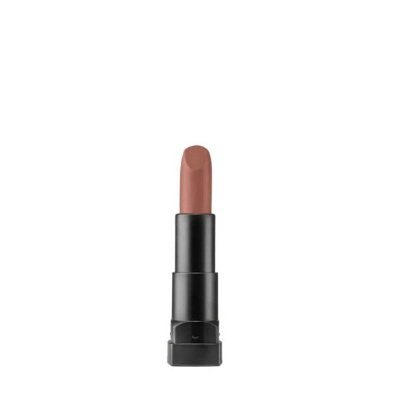 Pastel Pro Fashion Matte Lipstick 4.3g No:588 - 1